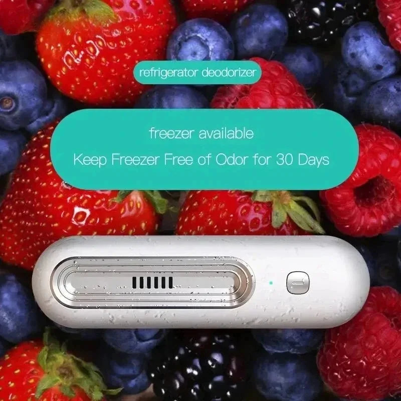 Premium Ionic Air Purifier & Deodorizer – Smart Sterilizer for Fridge & Car, Eliminates Odors & Extends Freshness - Order Lite