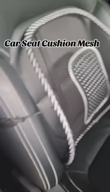 Illustrative Scene of a Comfortable Mesh Lumbar Support Cushion
